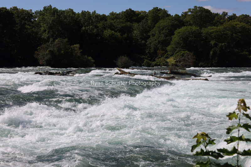 20220827104546_IMG_1541